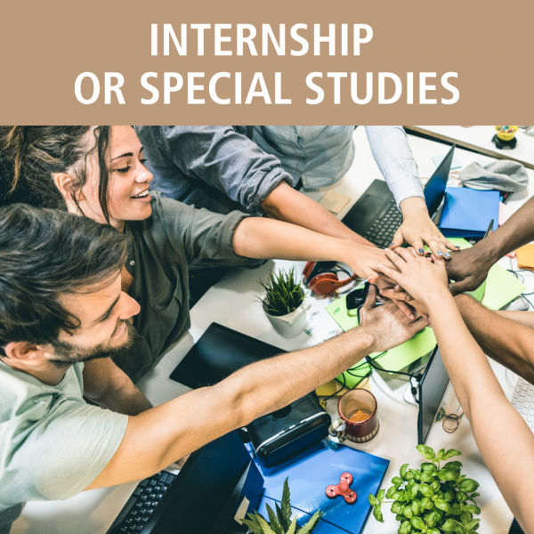 Internship or Special Studies